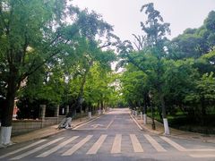 -八大关景区