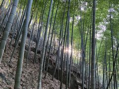 -藏龙百瀑风景区
