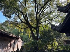 -天一阁博物院