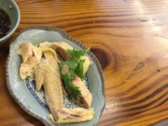 -九斤黄三黄鸡专卖店