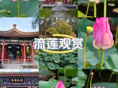 -颐和园