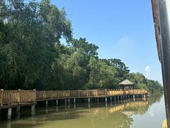 -大湾区中央湿地公园