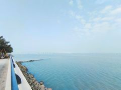 -大湾区中央湿地公园