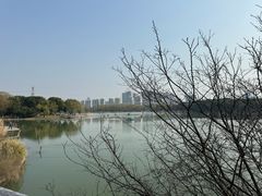 -昆山城市生态森林公园