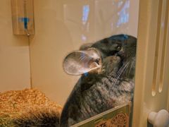 -龙猫仔乐园(惠福东路店)