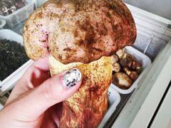 -山大王菌莊