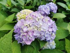 -星巴克(蒲汇塘路店)