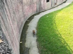 -南昌动物园