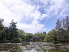 -杭州植物园