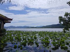 -湖畔居茶楼(湖滨店)