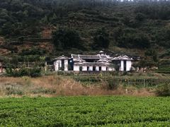 -福建土楼（华安）旅游区•大地土楼群