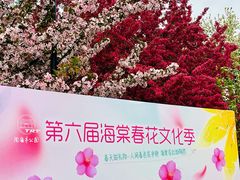 -陶然亭公园