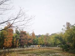 -晓港公园