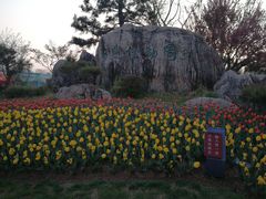 -日照灯塔风景区