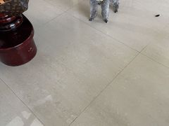 -佳雯宠物医院(金华南路分院)