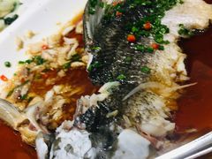 广式多宝鱼-禄海渔港(九堡店)