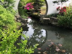 -上海醉白池公园