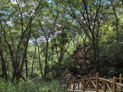-大岭沟猕猴桃谷风景区