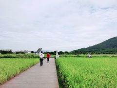 -艾米稻香小镇