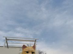 -何适山庄·团餐住宿(水长城P2停车场店)