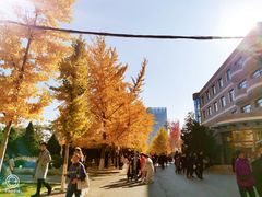 -辽宁大学(崇山校区)