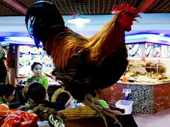 -山里屯铁锅炖(哈尔滨中央大街店)