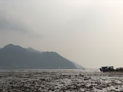 -北岐滩涂