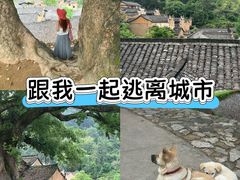 -杨家堂村