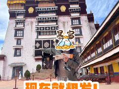 -布达拉宫