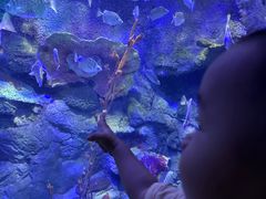 -太平洋海底世界