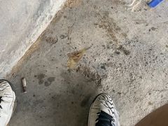 -会江钓鱼钓虾烧烤场