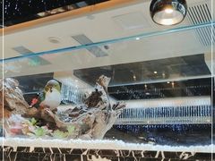 -红辣椒·川菜·火锅(大洋中心店)