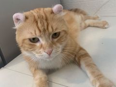 -平行世界·猫咖(首经贸店)