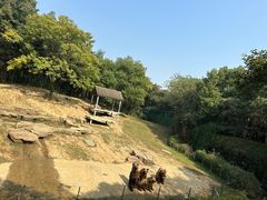 -扬州市茱萸湾风景区