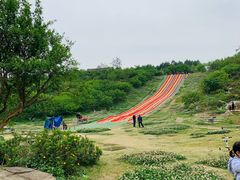 -秀丽东方