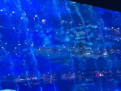 -成都浩海立方海洋公园