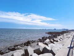 -东堤公园