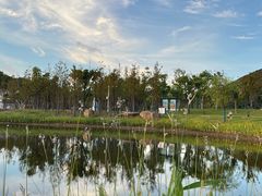 -宁波松兰山滨海旅游度假区