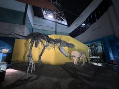 -湖南省地质博物馆