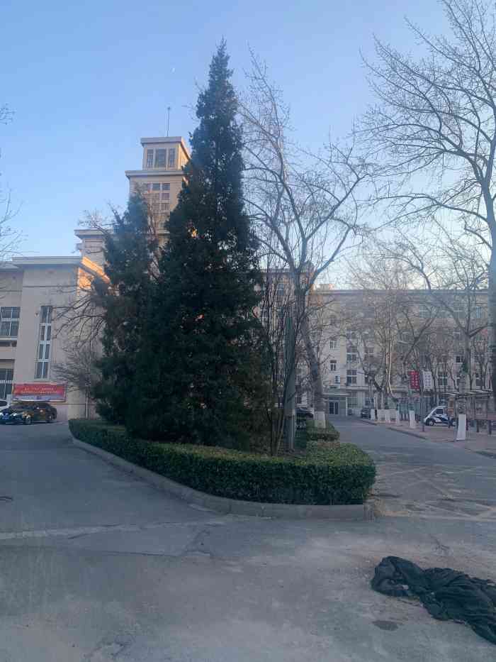 南开大学八里台校区