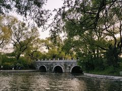 -北陵公园