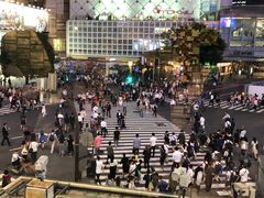 -涩谷全向十字路口