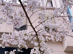 -新虹桥中心大厦