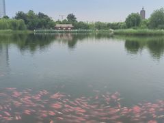 -西海子公园