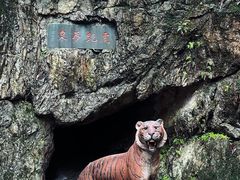 -六和塔文化公园
