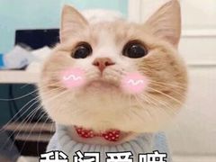 -greenjoy绿享轻食(宁海路店)