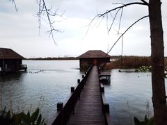 -池杉湖湿地公园