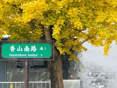 -国家植物园南园