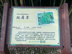 -呀路古热带植物园