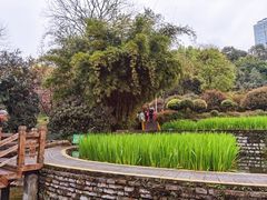 -龙头寺公园